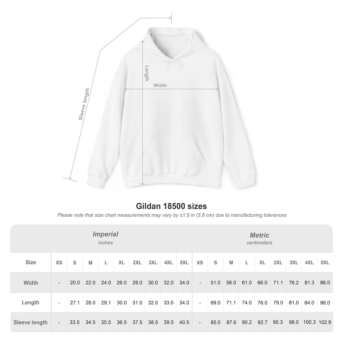 Guitar Samurai Hoodie