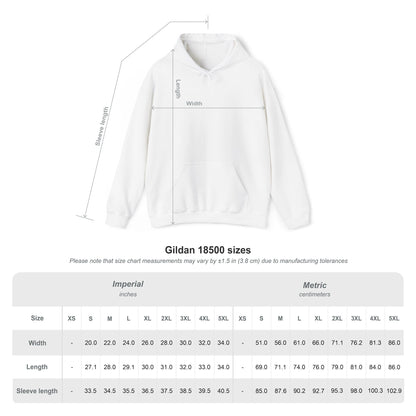 Guitar Samurai Hoodie